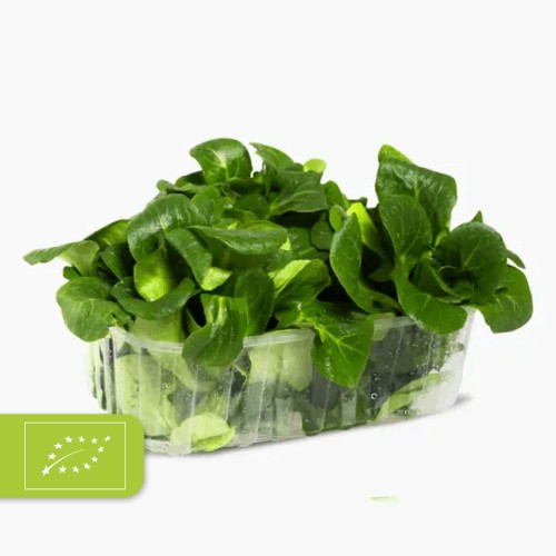 Feldsalat Bio 100g