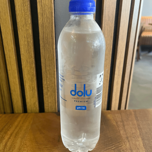 DPG FL Vio still 0,5l (EINWEG)