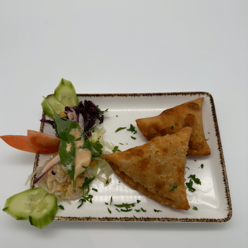 Chicken Samosa
