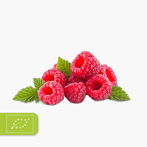 Bio Himbeeren 125g