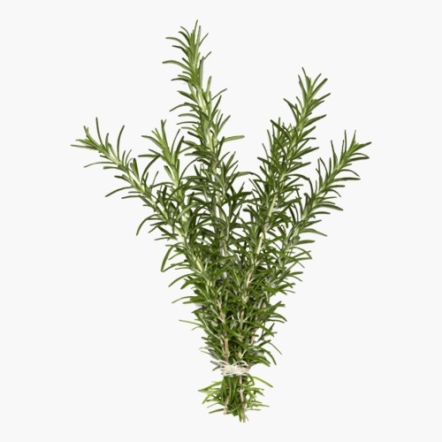 Rosmarin 15g
