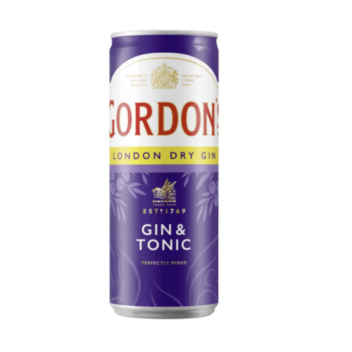 Gordons London Dry Gin & Tonic 0.33l (EINWEG)