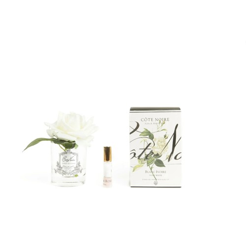Single Rose Duftblume - Ivory White 58g