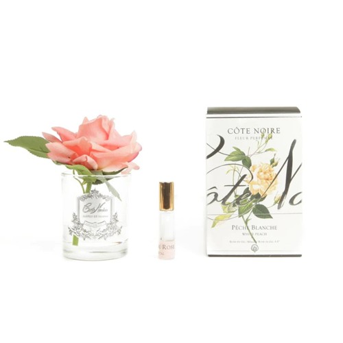 Single Rose Duftblume - White Peach 58g