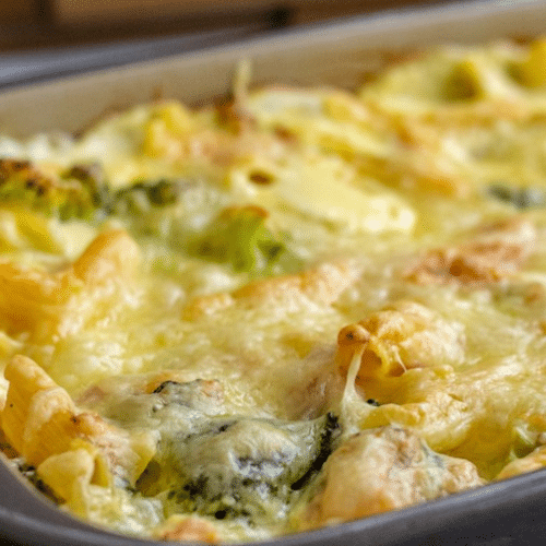 Lasagne Pollo
