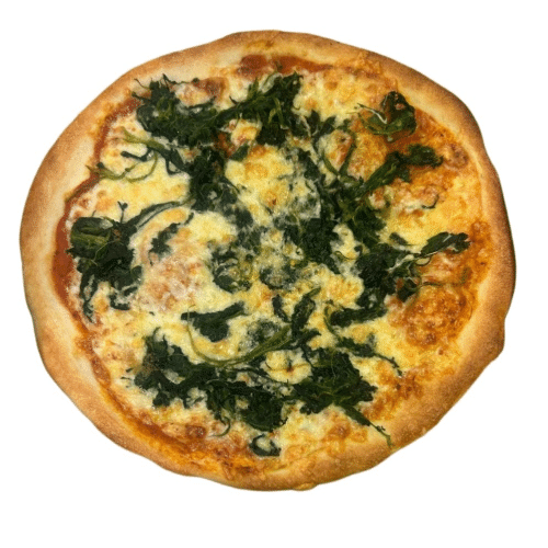 27. Spinacia
