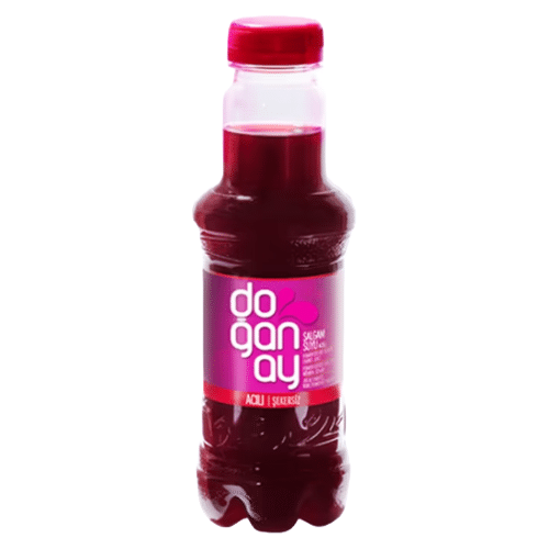 Salgam 0,25l (EINWEG)
