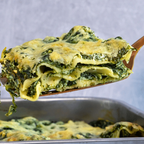 Lasagne Spinat