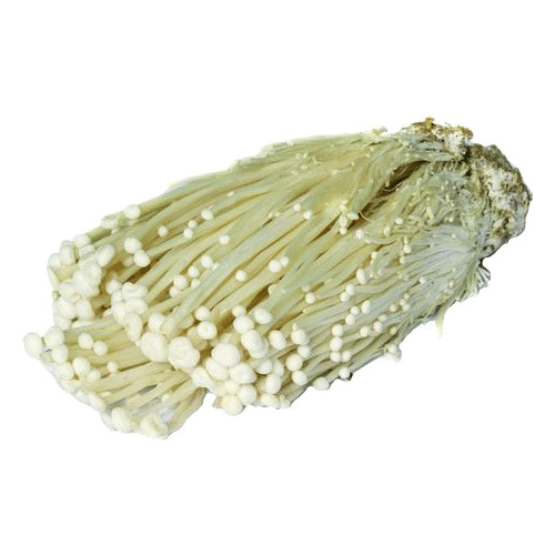 Enoki Pilze 100g
