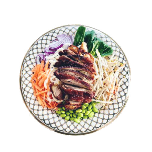 Japanische Udon-Nudeln mit Ente Tempura Sauce