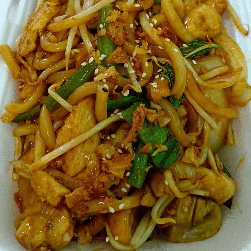 Gebratene Spezial Udon-Nudeln