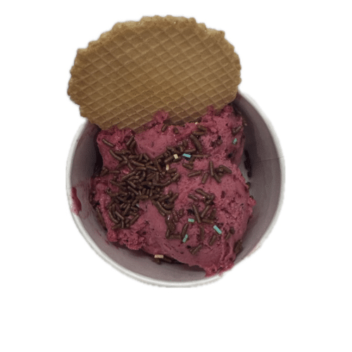 Kugeleis Waldfrucht