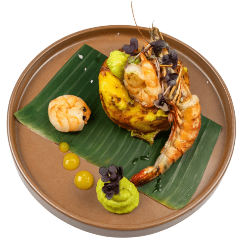 Timbal de Amazonas