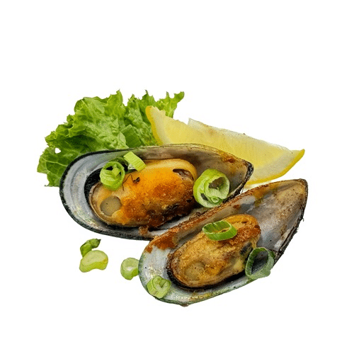 Muscheln (2 Stück)
