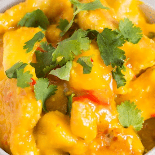 Bombay Chicken Curry (Halal)