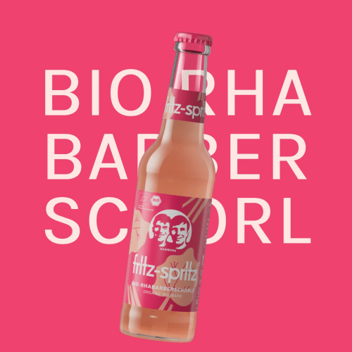 Fritz - Spritz Bio Rhsbsrberschorle 0,2l (MEHRWEG)