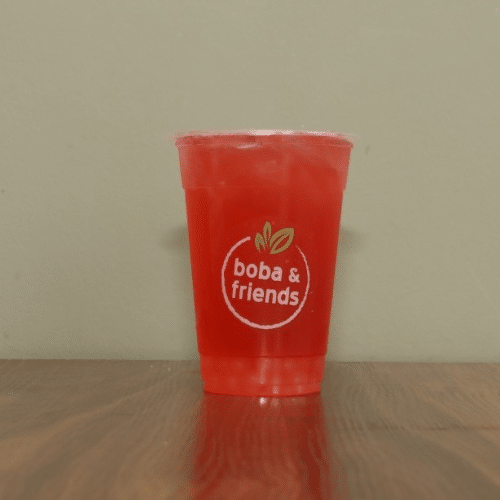 Fruit Tea Wassermelone M 0,5l