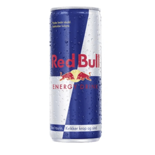 Red Bull 0,33l (EINWEG, 2 Stück)