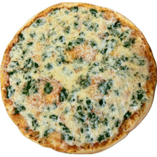 Pizza Nr. 21