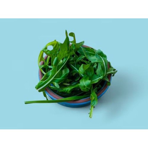 Rucola