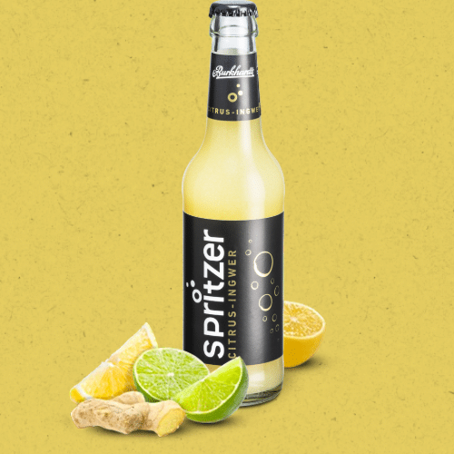 Citrus-Ingwer Spritzer 0,33l