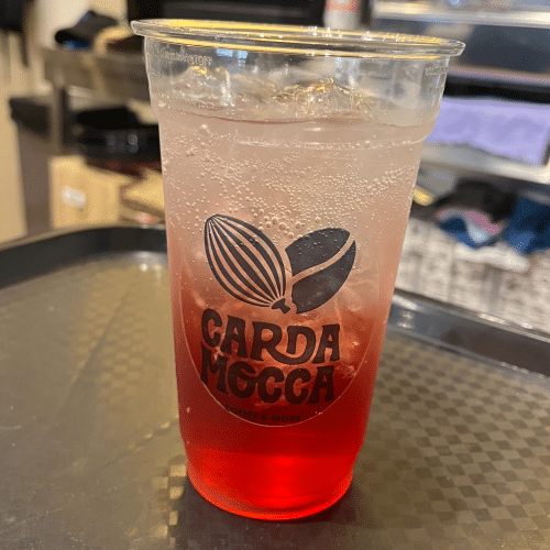 Hausgemachte Cranberryschorle 0,4l
