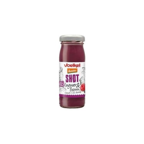 Ingwer-Beeren Shot 95ml