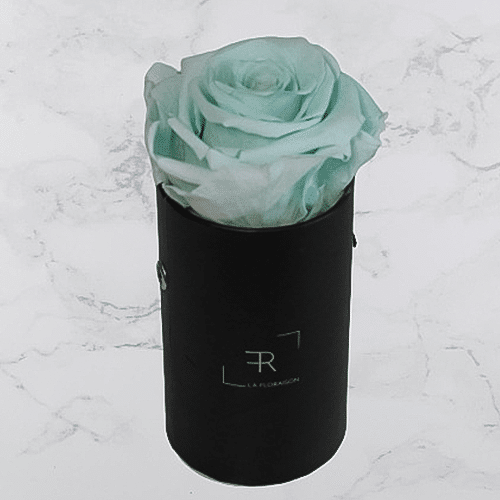 Rosenbox S Blau (schwarze Box)