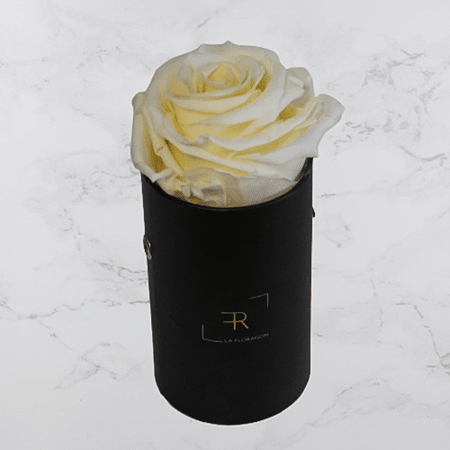 Rosenbox S Champagner (schwarze Box)