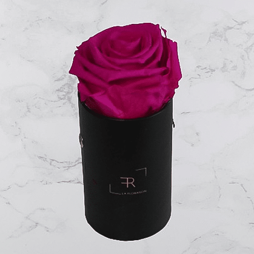 Rosenbox S Rosa (schwarze Box)