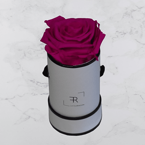 Rosenbox S Rosa