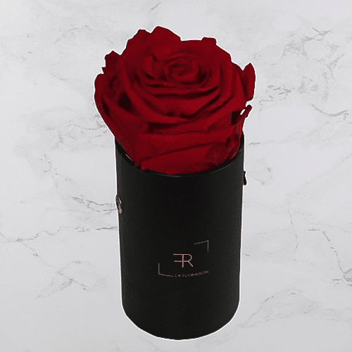 Rosenbox S Rot (schwarze Box)