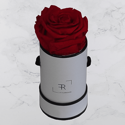 Rosenbox S Rot