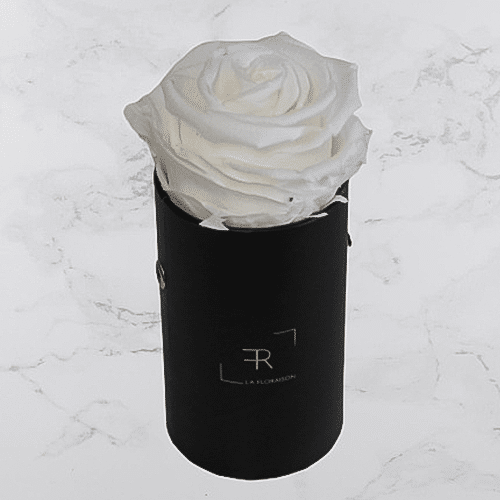 Rosenbox S Weiß (schwarze Box)