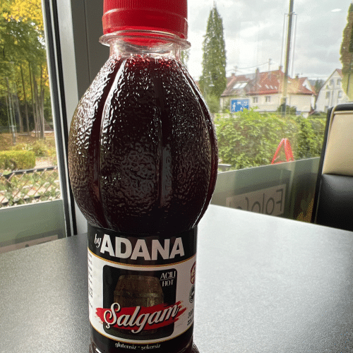 Salgam