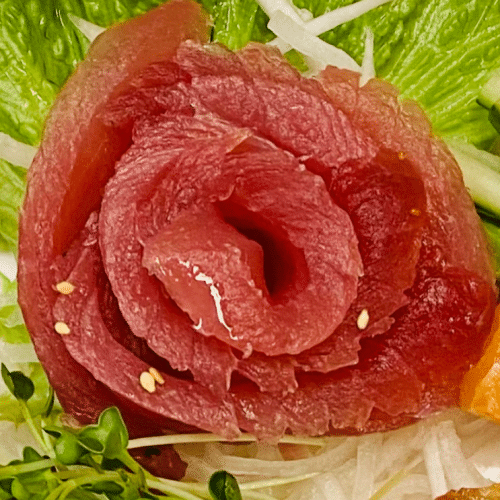 Sashimi Maguro