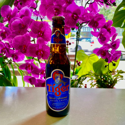 Tiger Bier 0,33l