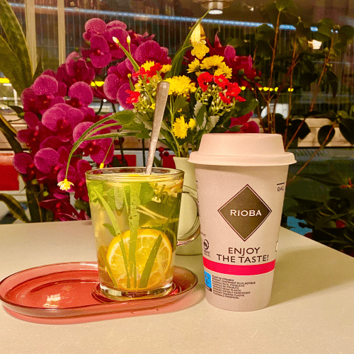 Trà Bạc Hà 0.4l ( Heißer Tee)