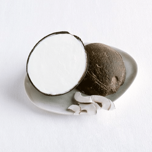 Kokoseis in Echter Nussschale