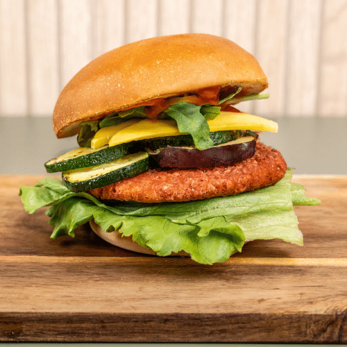 Daily Vegan Burger