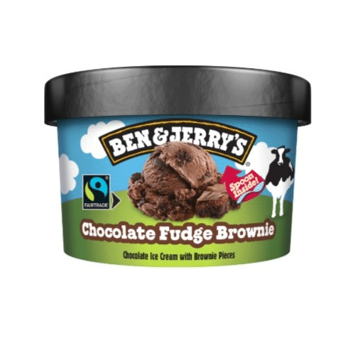 Ben & Jerrys Mini Choco Fudge Brownie 100ml