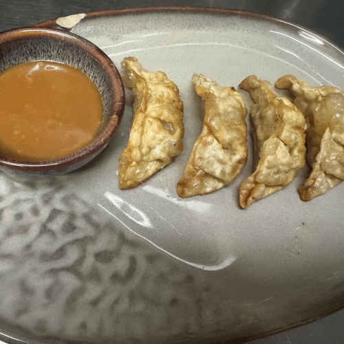 Chicken Dumplings
