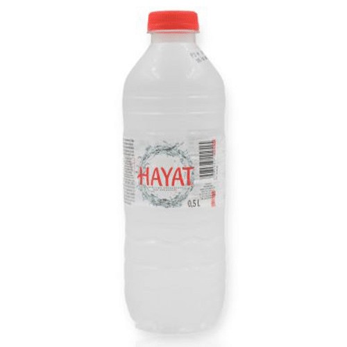 Hayat Natürliches Mineralwasser Naturell 0.5l (EINWEG)