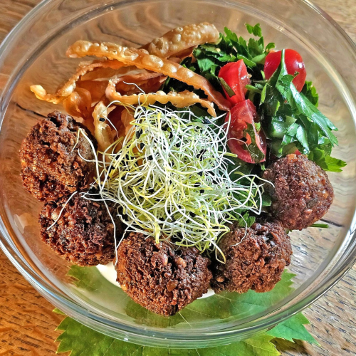 Falafel Fiasko (vegan)