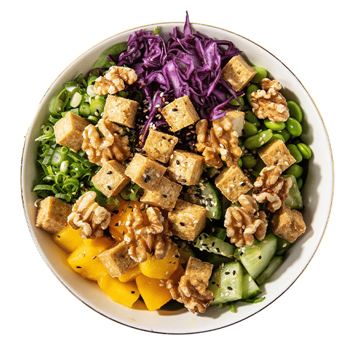 Bio Tofu Bowl