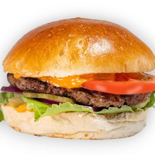 Homemade Hamburger