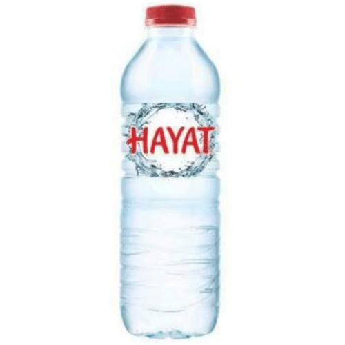 Hayat Natürliches Mineralwasser Naturell 0.5l (EINWEG)