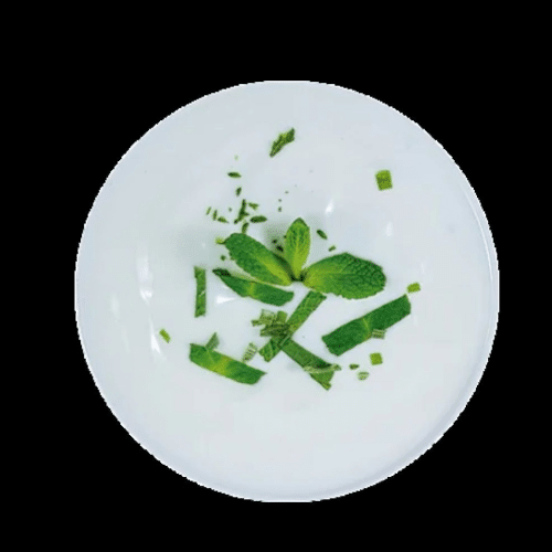 Hausgemachtes Joghurt-Minze-Dressing (vegetarisch, zuckerfrei, ölfrei)