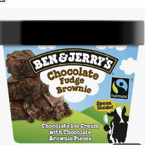 Ben & Jerrys Chocolate Fudge Brownie 100 ml