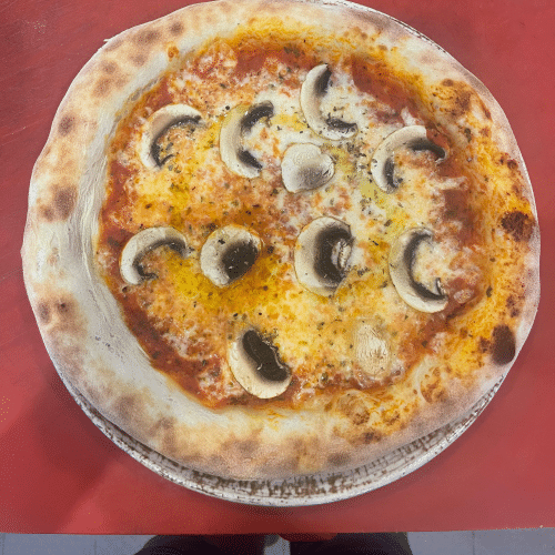 Pizza Funghi